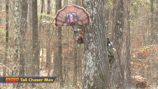 MOJO Outdoors Tail Chaser Max - image 8 from the video