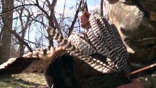 Montana Decoy Miss Purr-fect 3D Hen Turkey Decoy - image 2 from the video