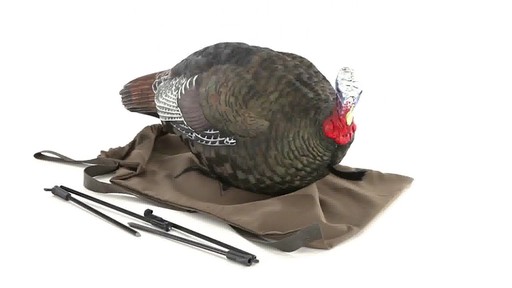 Avian-X Merriam's Jake and Hen Decoy Combo Pack 360 VIew - image 1 from the video
