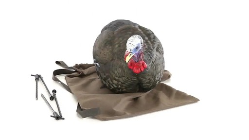 Avian-X Merriam's Jake and Hen Decoy Combo Pack 360 VIew - image 2 from the video