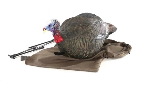 Avian-X Merriam's Jake and Hen Decoy Combo Pack 360 VIew - image 3 from the video