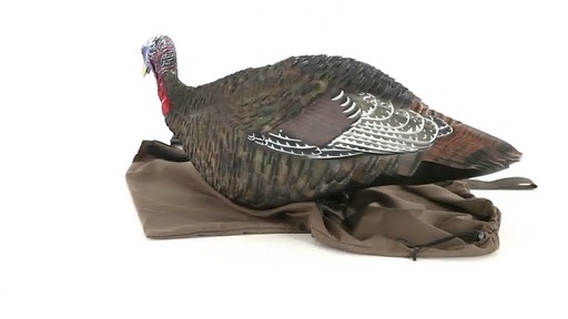Avian-X Merriam's Jake and Hen Decoy Combo Pack 360 VIew - image 4 from the video