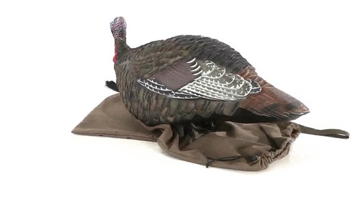 Avian-X Merriam's Jake and Hen Decoy Combo Pack 360 VIew - image 5 from the video