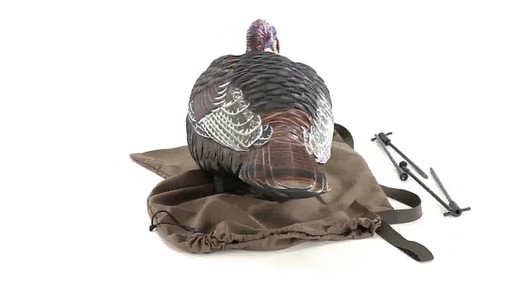 Avian-X Merriam's Jake and Hen Decoy Combo Pack 360 VIew - image 6 from the video
