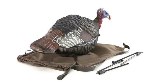 Avian-X Merriam's Jake and Hen Decoy Combo Pack 360 VIew - image 7 from the video