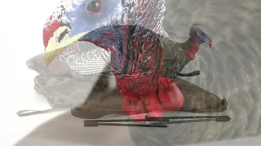 Avian-X Merriam's Jake and Hen Decoy Combo Pack 360 VIew - image 8 from the video