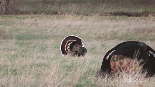 TurkeyFan Hunting Decoy - image 10 from the video