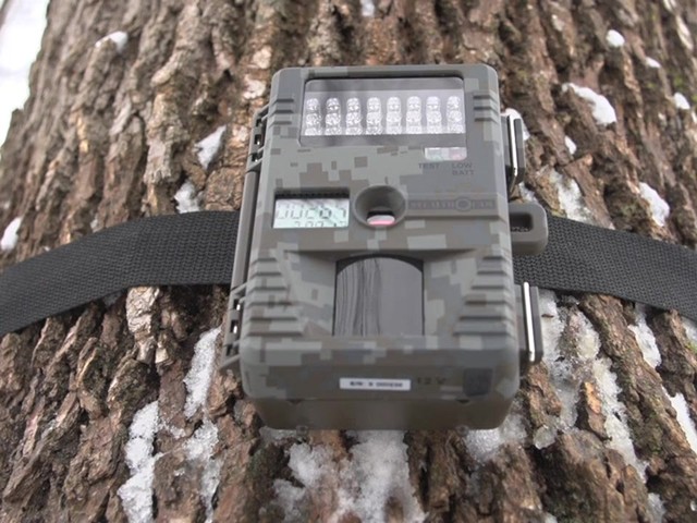  Stealth® 6.0-megapixel Digital Camo Trail Camera - image 2 from the video