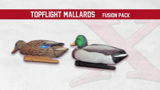 Avian-X Open Water Mallard Decoys 6 Pack - image 4 from the video