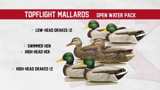 Avian-X Open Water Mallard Decoys 6 Pack - image 6 from the video