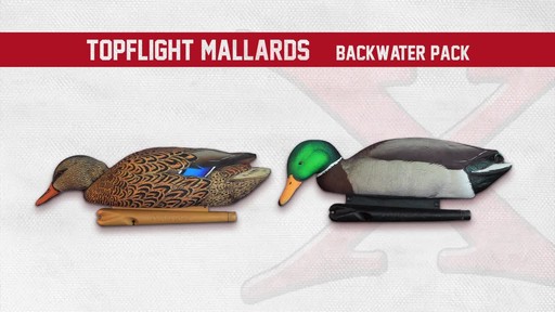 Avian-X Open Water Mallard Decoys 6 Pack - image 7 from the video