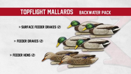 Avian-X Open Water Mallard Decoys 6 Pack - image 9 from the video