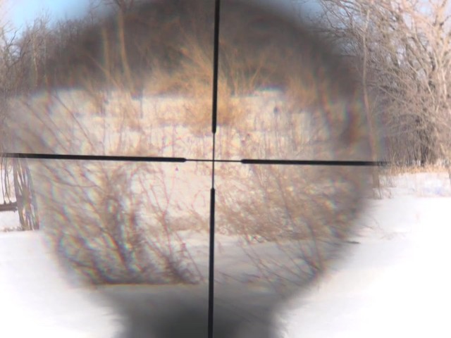 Gamo® Silent Cat® .177 cal. Air Rifle with 4x32mm Scope (Reconditioned) - image 4 from the video
