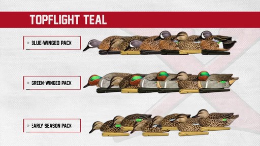 Avian-X Top Flight Teal Early Season Duck Decoys 6 Pack - image 1 from the video