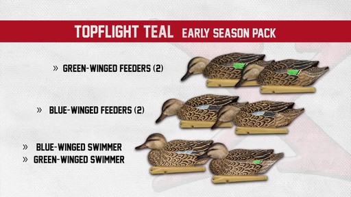 Avian-X Top Flight Teal Early Season Duck Decoys 6 Pack - image 7 from the video