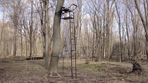 Primal Tree Stands 22' Mac Daddy Deluxe Ladder Tree Stand With Jaw And Truss Stabilizer System - image 4 from the video
