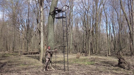 Primal Tree Stands 22' Mac Daddy Deluxe Ladder Tree Stand With Jaw And Truss Stabilizer System - image 8 from the video