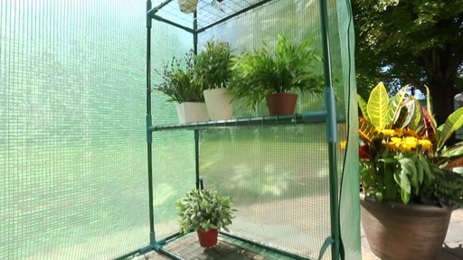 CASTLECREEK Walk-In Greenhouse - image 3 from the video
