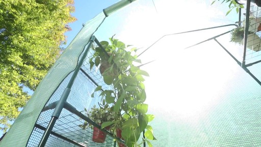 CASTLECREEK Walk-In Greenhouse - image 6 from the video
