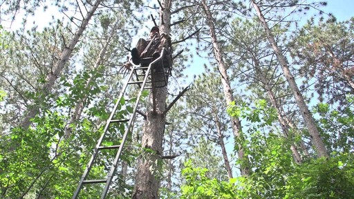 Guide Gear® 18' Brush Ladder Tree Stand - image 5 from the video