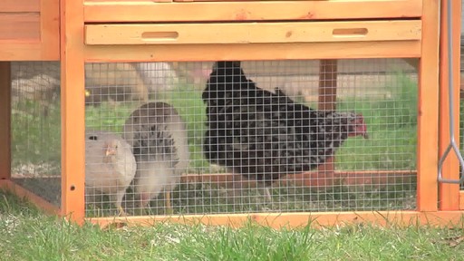 CASTLECREEK Backyard Chicken Coop - image 3 from the video