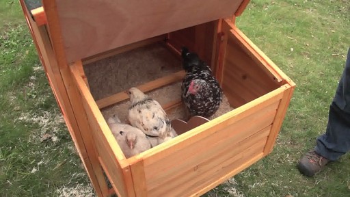 CASTLECREEK Backyard Chicken Coop - image 4 from the video