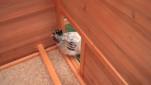 CASTLECREEK Backyard Chicken Coop - image 5 from the video