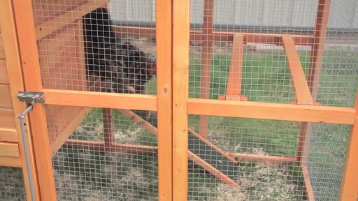 CASTLECREEK Backyard Chicken Coop - image 6 from the video