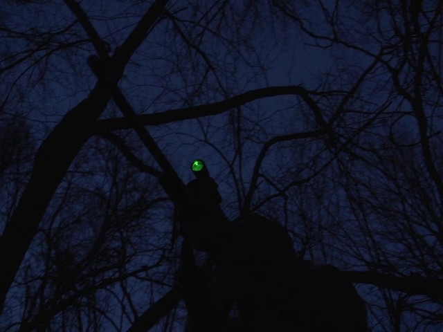Laser Genetics ND1 SubZero Tactical Laser Sight - image 2 from the video