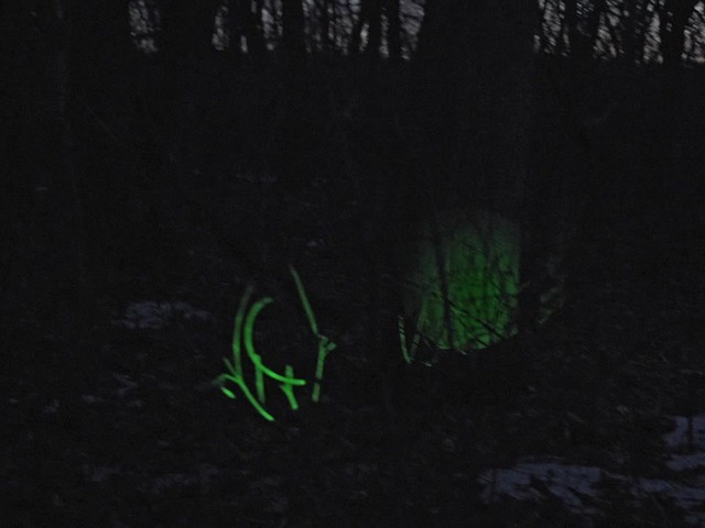 Laser Genetics ND1 SubZero Tactical Laser Sight - image 3 from the video