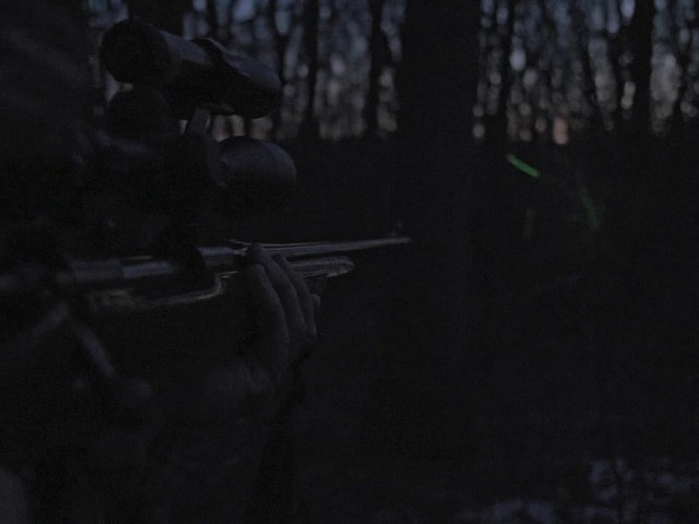 Laser Genetics ND1 SubZero Tactical Laser Sight - image 5 from the video