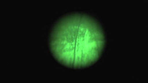 ATN? MK390 Paladin Night Vision Scope - image 8 from the video