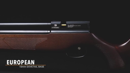 Dynamic PCP Air Rifle - image 1 from the video