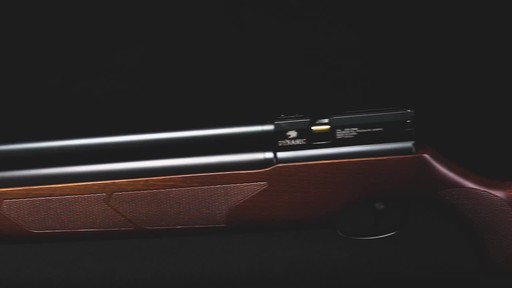 Dynamic PCP Air Rifle - image 10 from the video