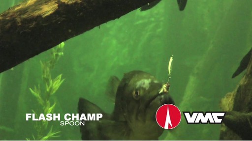 VMC Flash Champ Spoon - image 2 from the video