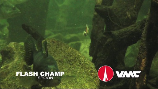 VMC Flash Champ Spoon - image 7 from the video