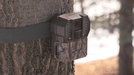 Stealth Cam 8MP RX36 Trail Camera - image 10 from the video