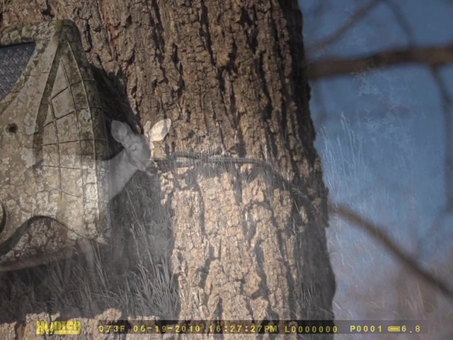 Hunten Outdoors® 7MP Infrared Game Camera - image 5 from the video