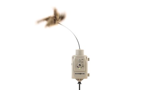 Western Rivers Mantis Pro Electronic Predator Decoy 360 View - image 8 from the video