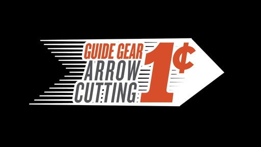 Penny Arrow Cutting - image 9 from the video