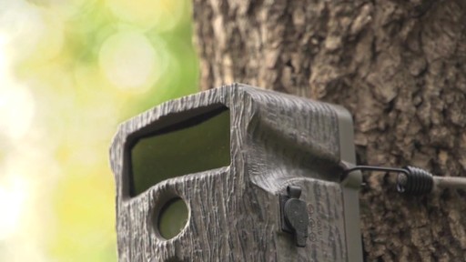 Wildgame Innovations Blade 8X LightsOut Game Camera - image 1 from the video