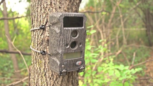 Wildgame Innovations Blade 8X LightsOut Game Camera - image 4 from the video