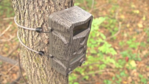 Wildgame Innovations Blade 8X LightsOut Game Camera - image 9 from the video