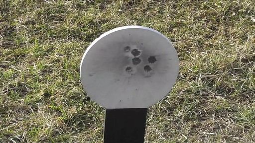 Challenge Targets Stake-N-Shoot Target - image 6 from the video