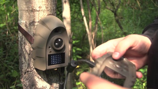 Leupold RCX-1 8MP Trail Camera - image 4 from the video
