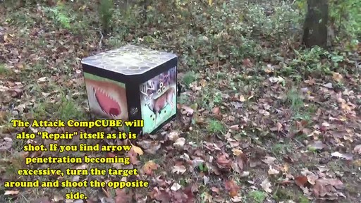 Black Hornet Attack Cube Archery Target - image 9 from the video