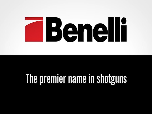 Benelli MONTEFELTRO - image 10 from the video