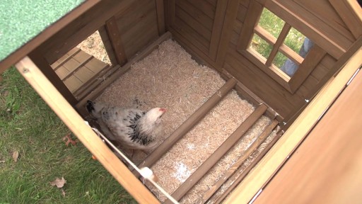 CC FARM HOUSE CHICKEN COOP - image 4 from the video