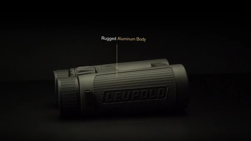 Leupold BX-4 Pro Guide HD 10x42mm Binoculars - image 4 from the video