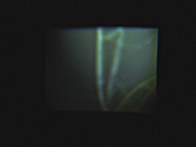 Luna Optics Digital 5x50 Night Vision Monocular - image 7 from the video